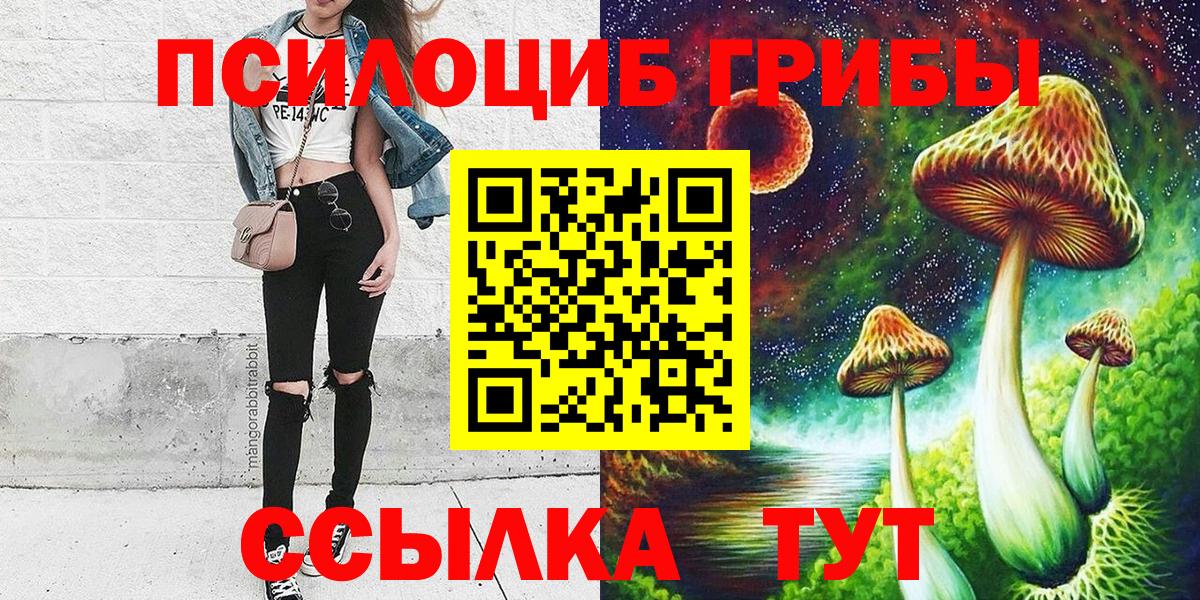 Псилоцибиновые грибы MAGIC MUSHROOMS  Вход с VPN  Грозный 