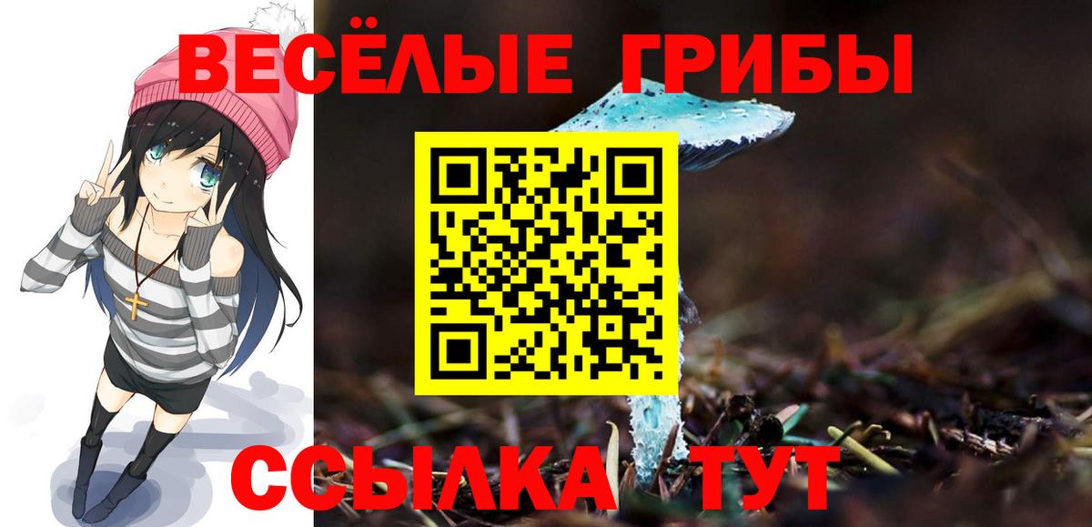Псилоцибиновые грибы мицелий Грозный