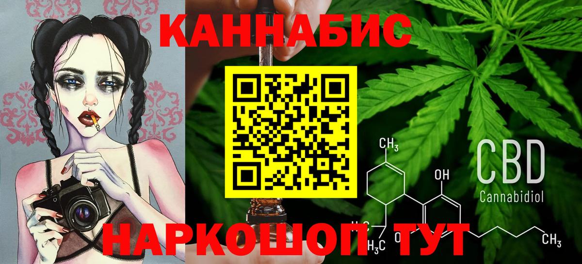 Канабис план Грозный